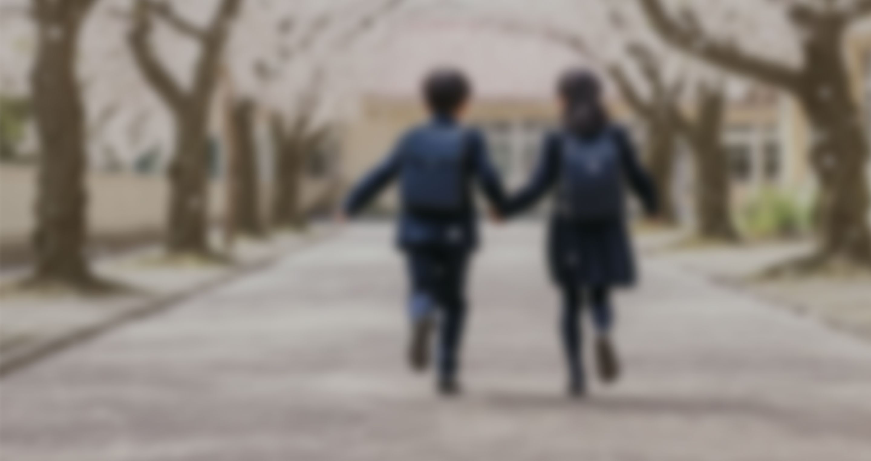 謝恩会招待状のイメージ